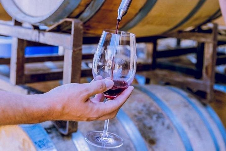 Vues panoramiques des domaines viticoles, des vignobles et des expériences de dégustation de la vallée de Temecula, photo 7 | wizardtrip