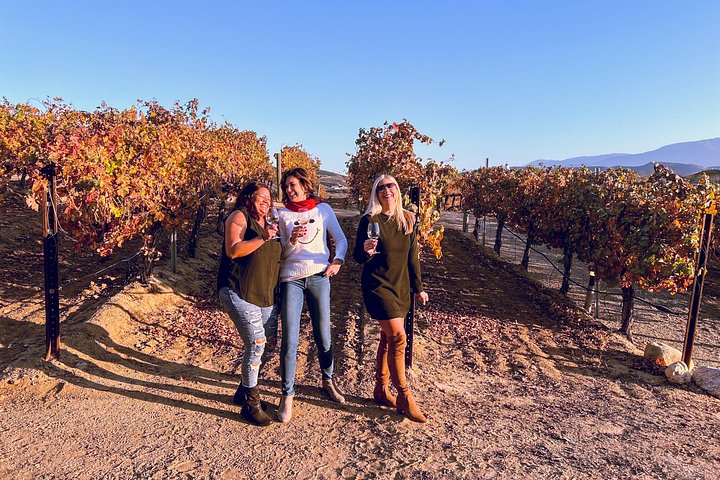 Vues panoramiques des domaines viticoles, des vignobles et des expériences de dégustation de la vallée de Temecula, photo 8 | wizardtrip