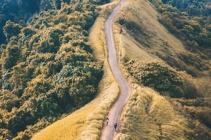 Ontdek de natuurlijke schoonheid en culturele bezienswaardigheden van Bali, waaronder het Apenbos van Ubud, rijstterrassen en watervallen, foto 6 | wizardtrip