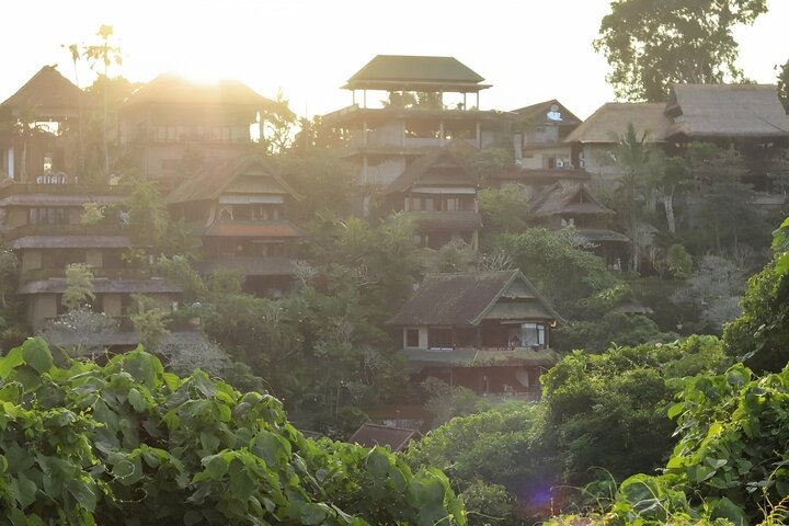 Ontdek de natuurlijke schoonheid en culturele bezienswaardigheden van Bali, waaronder het Apenbos van Ubud, rijstterrassen en watervallen, foto 8 | wizardtrip