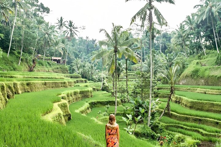 Ontdek de natuurlijke schoonheid en culturele bezienswaardigheden van Bali, waaronder het Apenbos van Ubud, rijstterrassen en watervallen, foto 10 | wizardtrip