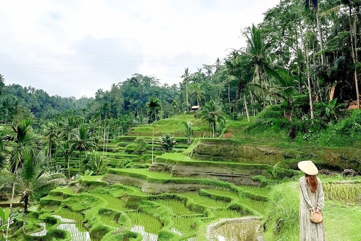 Ontdek de natuurlijke schoonheid en culturele bezienswaardigheden van Bali, waaronder het Apenbos van Ubud, rijstterrassen en watervallen, foto 11 | wizardtrip