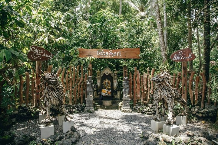 Ontdek de natuurlijke schoonheid en culturele bezienswaardigheden van Bali, waaronder het Apenbos van Ubud, rijstterrassen en watervallen, foto 14 | wizardtrip