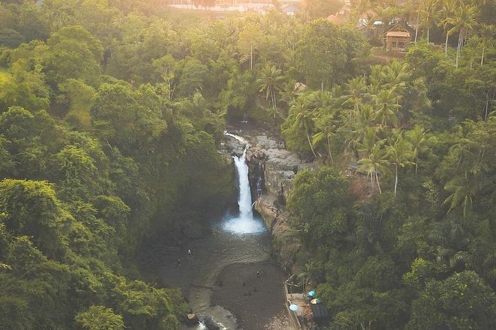 Ontdek de natuurlijke schoonheid en culturele bezienswaardigheden van Bali, waaronder het Apenbos van Ubud, rijstterrassen en watervallen, foto 20 | wizardtrip