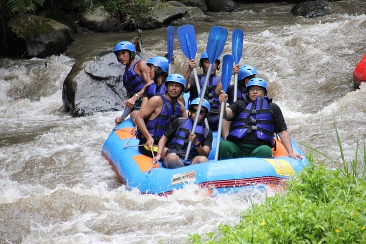 Exciting white water rafting adventure on the Ayung River in Ubud, Bali, surrounded by lush tropical scenery, photo 6 | wizardtrip