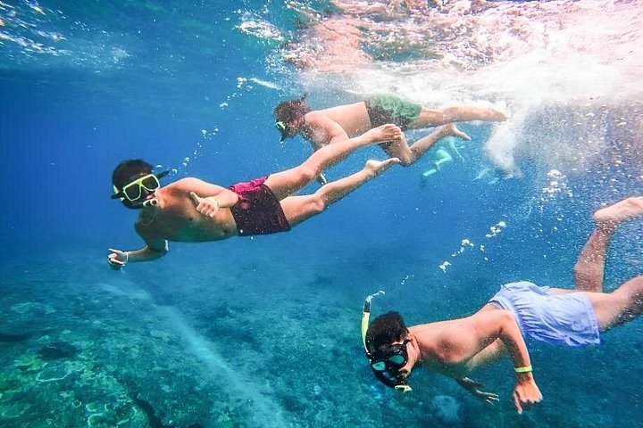 Excursão de dia inteiro tudo incluído a Nusa Penida, com praias deslumbrantes, falésias e locais de snorkeling, foto 30 | wizardtrip