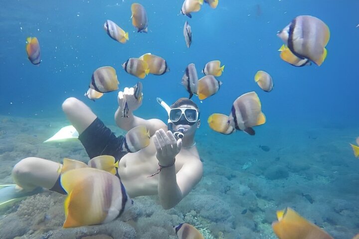 Excursão de dia inteiro tudo incluído a Nusa Penida, com praias deslumbrantes, falésias e locais de snorkeling, foto 31 | wizardtrip