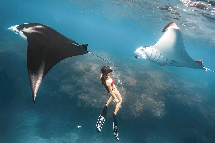Excursão de dia inteiro tudo incluído a Nusa Penida, com praias deslumbrantes, falésias e locais de snorkeling, foto 33 | wizardtrip