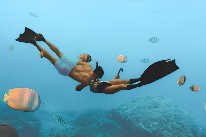 Excursão de dia inteiro tudo incluído a Nusa Penida, com praias deslumbrantes, falésias e locais de snorkeling, foto 35 | wizardtrip