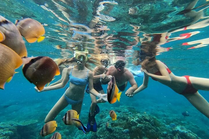 Excursão de dia inteiro tudo incluído a Nusa Penida, com praias deslumbrantes, falésias e locais de snorkeling, foto 36 | wizardtrip