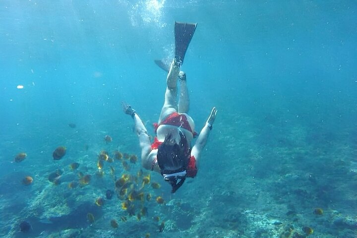 Excursão de dia inteiro tudo incluído a Nusa Penida, com praias deslumbrantes, falésias e locais de snorkeling, foto 38 | wizardtrip