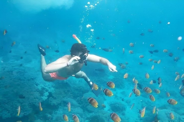 Excursão de dia inteiro tudo incluído a Nusa Penida, com praias deslumbrantes, falésias e locais de snorkeling, foto 39 | wizardtrip