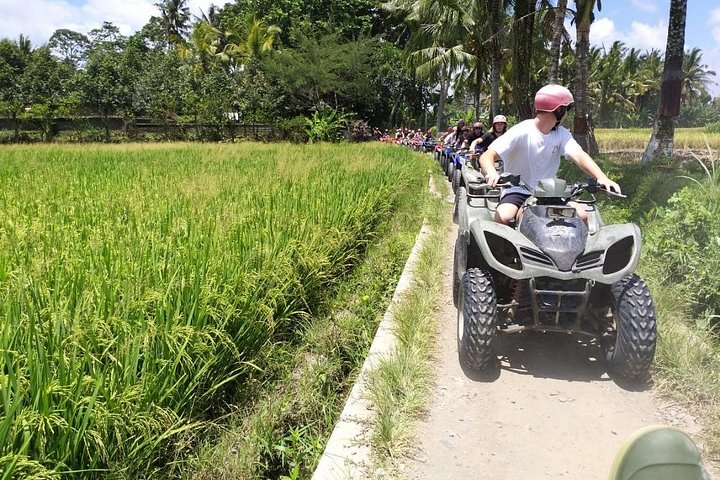 Ervaar spannende quadbike- en white water rafting-avonturen in de weelderige landschappen van Ubud, Bali, foto 15 | wizardtrip