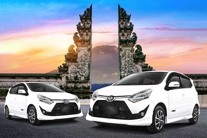 バリ島の専用車ツアー、地元ドライバーと寺院や景勝地を巡る、写真28 | wizardtrip