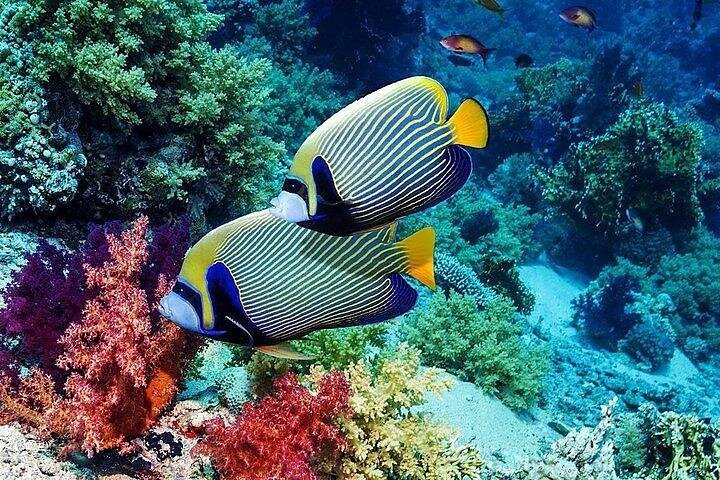 Geniet van quad avonturen en snorkelen bij Bali's Blue Lagoon, foto 32 | wizardtrip