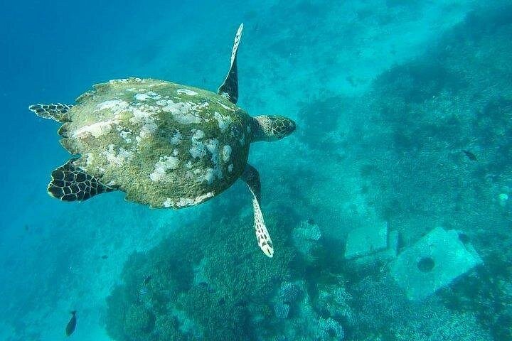 Geniet van quad avonturen en snorkelen bij Bali's Blue Lagoon, foto 33 | wizardtrip