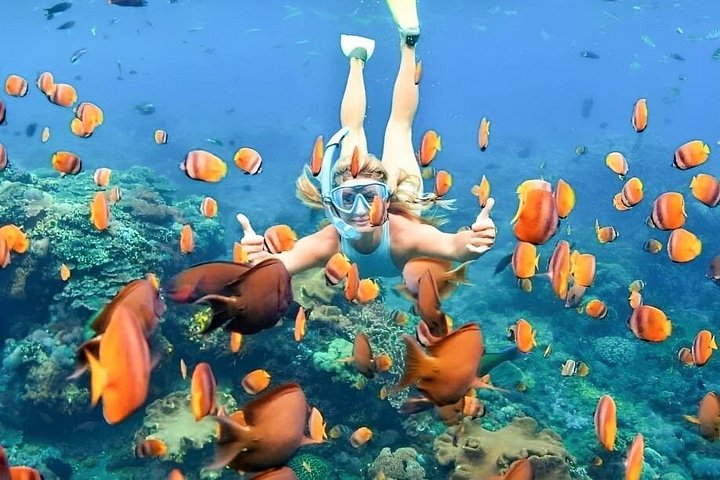 Geniet van quad avonturen en snorkelen bij Bali's Blue Lagoon, foto 34 | wizardtrip