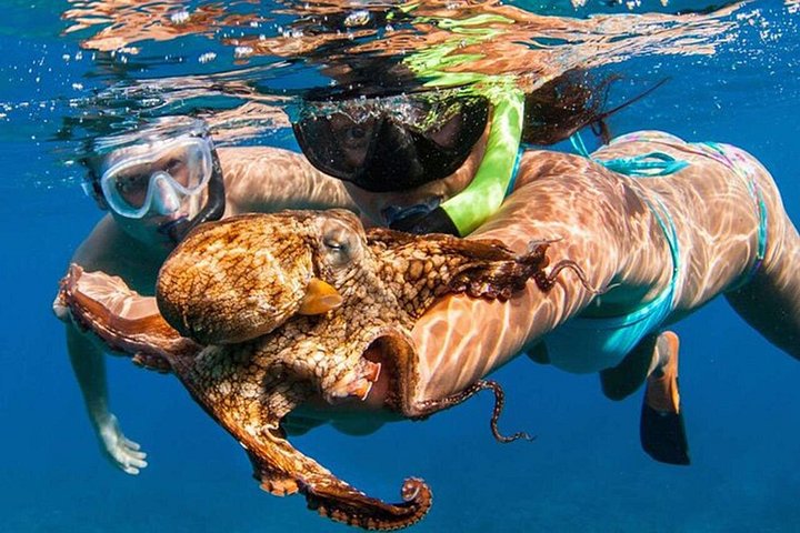 Geniet van quad avonturen en snorkelen bij Bali's Blue Lagoon, foto 41 | wizardtrip