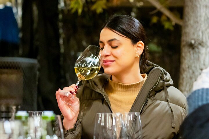 Viña Concha y Toro: Premium Wijntour | wizardtrip