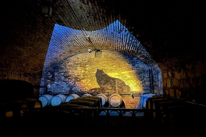 Wine tasting and vineyard tour at Concha y Toro, Santiago, Chile, photo 10 | wizardtrip
