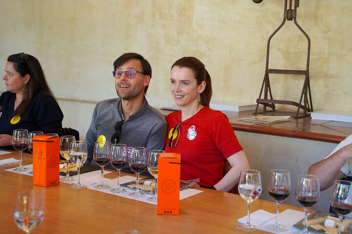 Wine tasting and vineyard tour at Concha y Toro, Santiago, Chile, photo 11 | wizardtrip