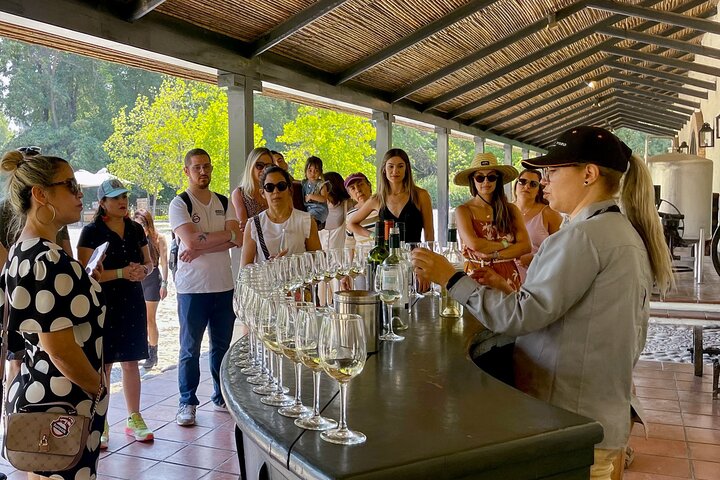 Wine tasting and vineyard tour at Concha y Toro, Santiago, Chile, photo 12 | wizardtrip