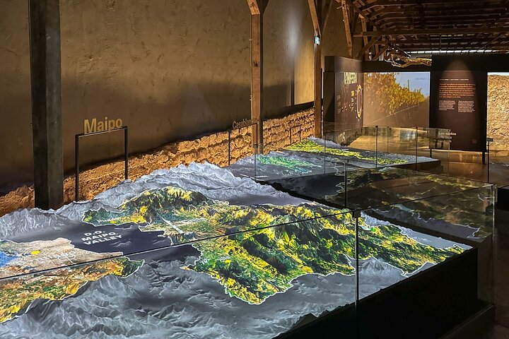 Weinprobe und Weinbergtour im Weingut Concha y Toro in Santiago, Chile, Foto 9 | wizardtrip