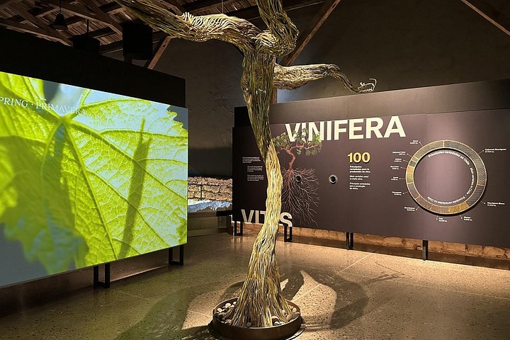 Weinprobe und Weinbergtour im Weingut Concha y Toro in Santiago, Chile, Foto 10 | wizardtrip