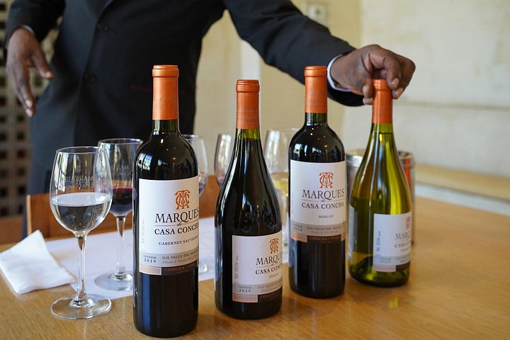 Weinprobe und Weinbergtour im Weingut Concha y Toro in Santiago, Chile, Foto 12 | wizardtrip