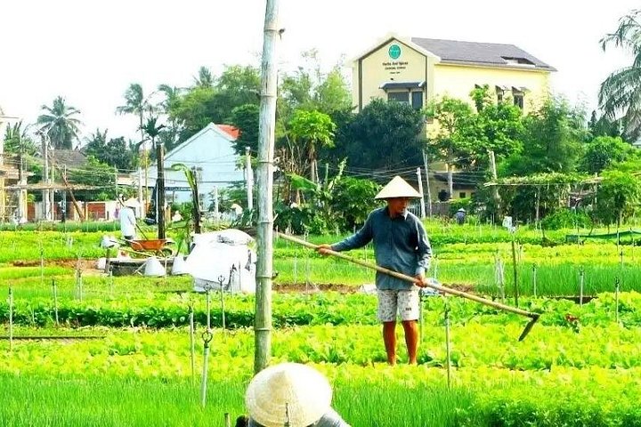 Explora los pueblos rurales y las islas fluviales de Hoi An en un tour privado en jeep, experimentando artesanías y paisajes locales, foto 24 | wizardtrip