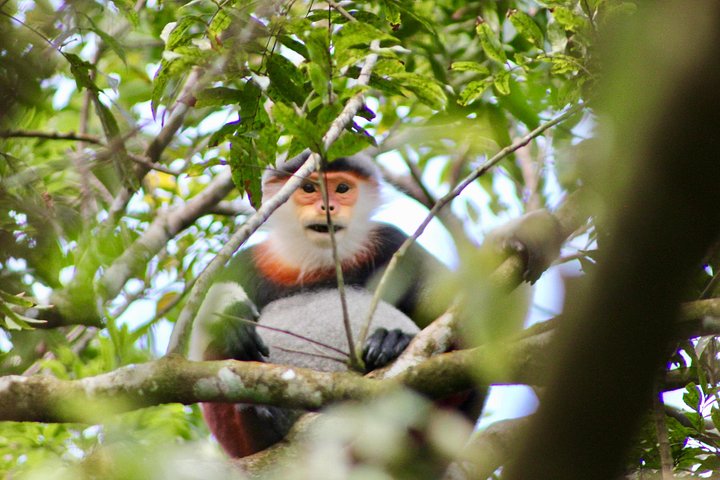 Privat tur som utforsker Marmorfjellene, Monkey Mountain og Lady Buddha i Da Nang, Vietnam, foto 11 | wizardtrip
