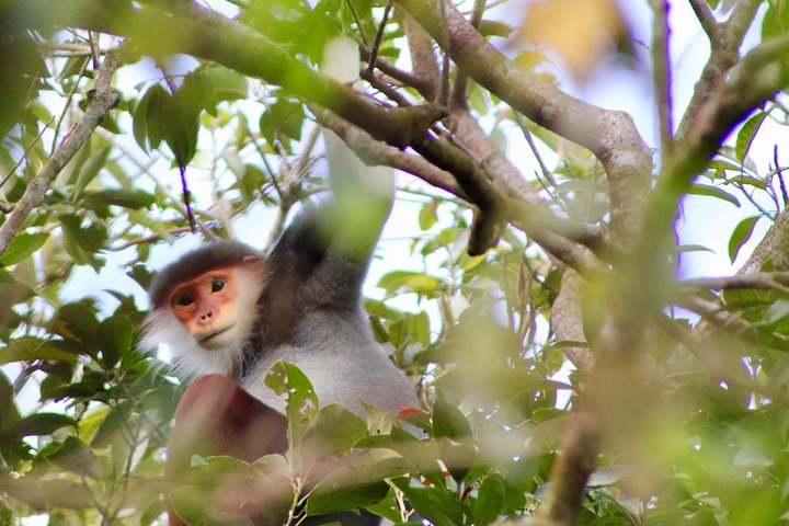 Privat tur som utforsker Marmorfjellene, Monkey Mountain og Lady Buddha i Da Nang, Vietnam, foto 14 | wizardtrip
