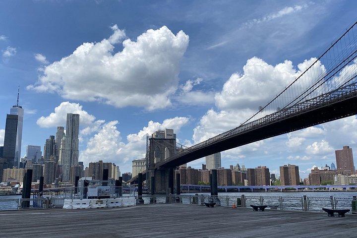 Recorrido en autobús explorando arte, comida y deportes en Brooklyn, Bronx y Queens en la ciudad de Nueva York, foto 28 | wizardtrip