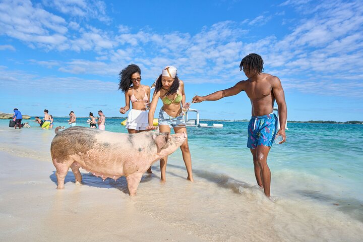 Nyt et unikt bahamisk eventyr med svømmegriser, vannsport og en privat strand, foto 11 | wizardtrip