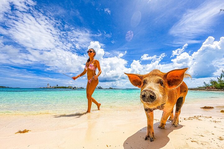 Nyt et unikt bahamisk eventyr med svømmegriser, vannsport og en privat strand, foto 19 | wizardtrip