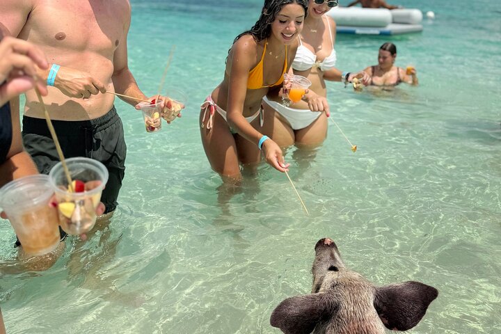 Nyt et unikt bahamisk eventyr med svømmegriser, vannsport og en privat strand, foto 25 | wizardtrip