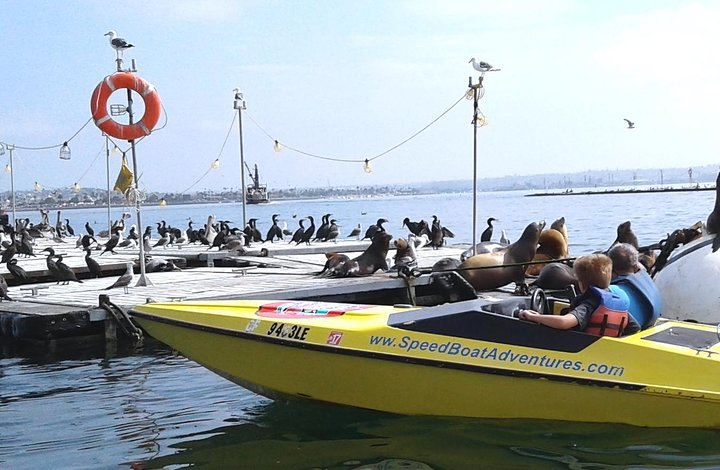 Styr din egen speedbåd på en spændende fortalt tur i San Diego Harbor, San Diego, foto 10 | wizardtrip