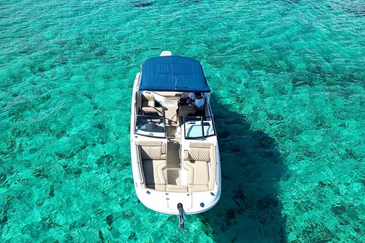 Private boat tour in George Town, Cayman Islands, featuring Stingray City, snorkeling, and Starfish Beach, photo 6 | wizardtrip