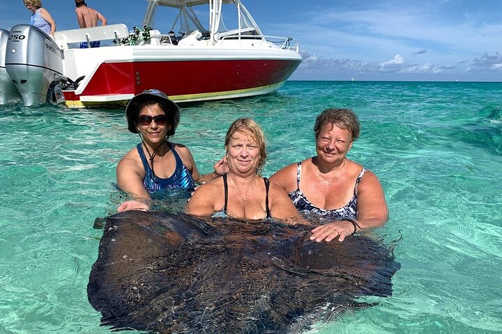 Private boat tour in George Town, Cayman Islands, featuring Stingray City, snorkeling, and Starfish Beach, photo 7 | wizardtrip