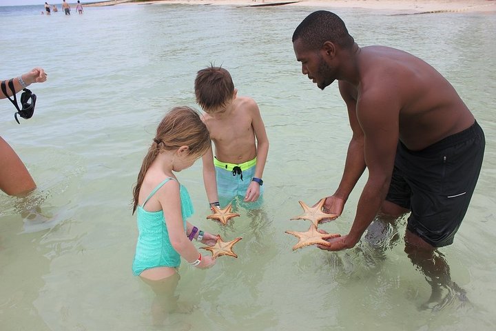Private boat tour in George Town, Cayman Islands, featuring Stingray City, snorkeling, and Starfish Beach, photo 9 | wizardtrip