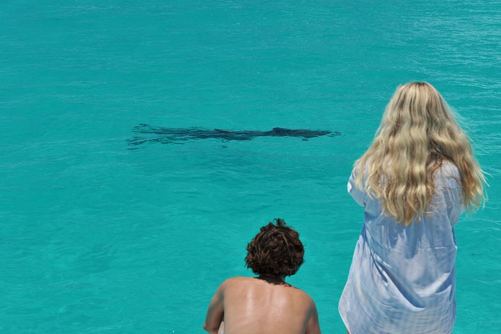Key West delfinskådning och snorkling ekologiskt äventyrstur, foto 6 | wizardtrip