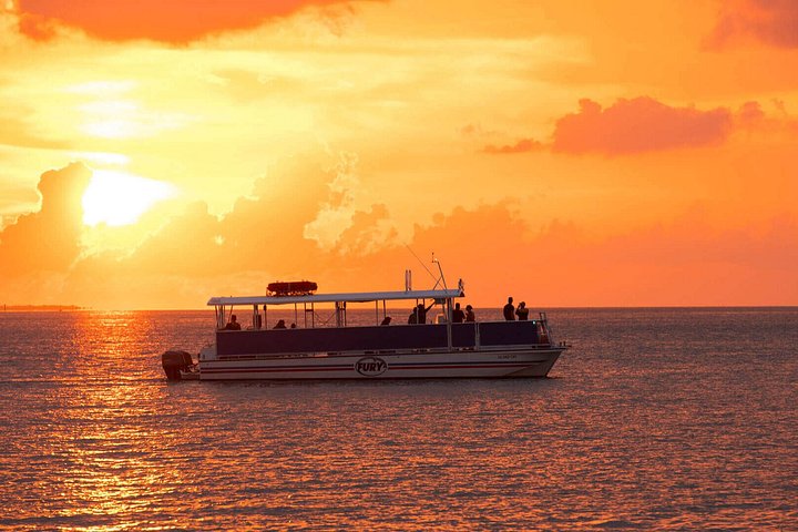 Key West delfinskådning och snorkling ekologiskt äventyrstur, foto 7 | wizardtrip