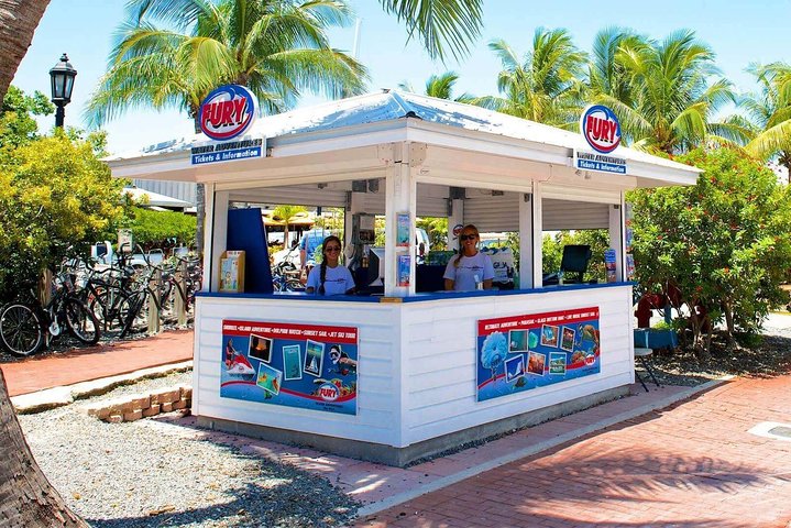 Key West delfinskådning och snorkling ekologiskt äventyrstur, foto 11 | wizardtrip