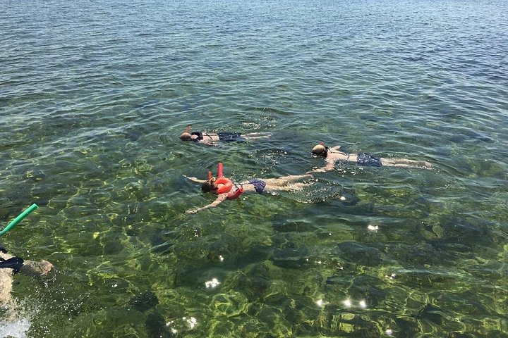 Key West delfinskådning och snorkling ekologiskt äventyrstur, foto 13 | wizardtrip