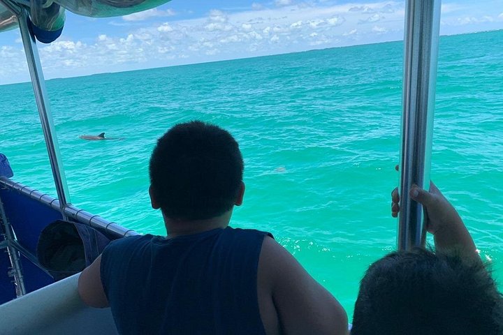 Key West delfinskådning och snorkling ekologiskt äventyrstur, foto 16 | wizardtrip