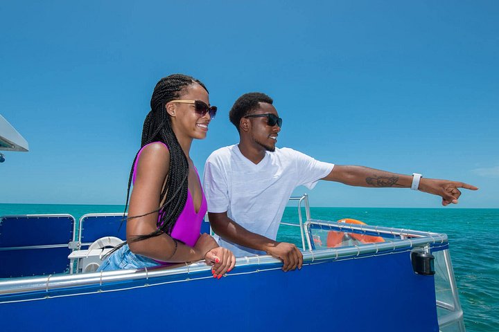 Key West delfinskådning och snorkling ekologiskt äventyrstur, foto 18 | wizardtrip