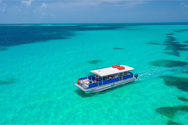 Key West delfinskådning och snorkling ekologiskt äventyrstur, foto 19 | wizardtrip