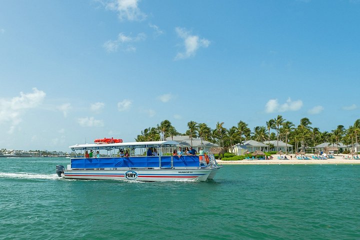 Key West delfinskådning och snorkling ekologiskt äventyrstur, foto 22 | wizardtrip