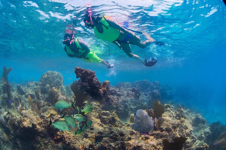 Key West watersports adventure featuring parasailing, jet skiing, banana boat, and water park, photo 14 | wizardtrip