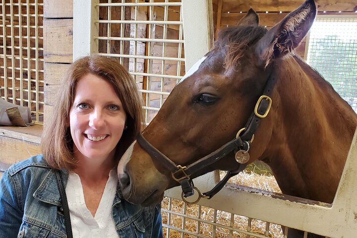 Unique Horse Farm Tours with Insider Access to Private Farms | wizardtrip